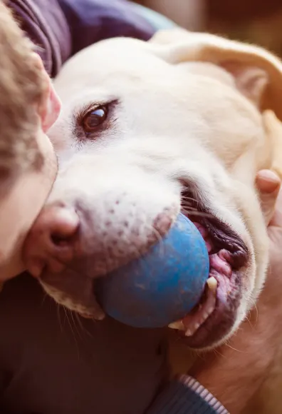 man hugging dog with ball